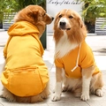 Detail of yellow fleece pet hoodie with a functional back zipper pocket on a golden retriever - S / Ginger Yellow