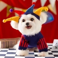 Maglione da circo festivo per cuccioli con cappello a pompon per cani e gatti piccoli - Stampa circo blu + cappello
