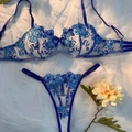 Detailed close-up of blue floral lace embroidery on semi-transparent mesh bra set - S / Dark Blue