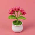 Detail showing pink crochet lily of the valley flowers in a white ceramic pot - Rose Red