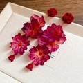 Orecchini bohémien con fiori in tessuto rosso e viola e nappine per un look da vacanza - Borgogna