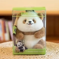 Niedliches Panda Stofftier in einer grünen transparenten Geschenkbox als Souvenir - Geschenkbox Panda - Qizai-Stil / 15cm