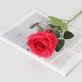 Artificial velvet red rose on vintage book pages for home and wedding decor - Large Round Rose Red