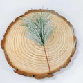 Artificial green pine needle branch with realistic snow effect on a rustic wooden base - 8x10cm Snow Flocked Pine Needle