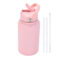 Pink stainless steel water bottle with handle lid, two straws and a cleaning brush - Light Pink
