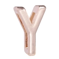 10mm rose gold plated alloy letter Y slide charm for DIY bracelets and jewelry making - Y (Rose Gold)