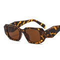 Retro square tortoiseshell sunglasses with brown lenses and chunky frame - C6 Leopard Frame Tea Lens