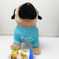 Sky blue cotton pet T-shirt with 'Best friends' print and blue grooming brush tool - C Pattern - Lake Blue / S