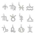 Silver zodiac pendant set with sparkling zircon crystals in 3x4 grid arrangement - 12 Pcs Steel Color Zircon Zodiac Set