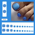Morandi hellblaue Glitzer-Fußnägel zum Aufdrücken im matten Finish Stil F125 - Kleber-Typ / Blauer Sternenfluss Stil (F125)