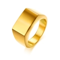 Minimalist rectangular gold-plated stainless steel signet ring with a polished finish - US 5 / Gold