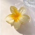 4cm Yellow Standard