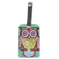 DIY owl diamond painting luggage tag with colorful rhinestones and grey leather strap - Red-bellied Owl