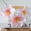 Open Tulip Pink