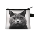 Mini zipper coin purse featuring a cute British Shorthair cat pattern on white background - Black and White Shorthair