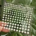 White semi-round pearl stickers in mixed sizes for face and DIY makeup decoration - White Pearl (Self-adhesive Half Round)