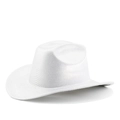 Dettaglio della trama diagonale argento scintillante sul cappello stile cowboy - Modello Paillettes Bianco Brillante / Bianco