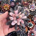Detailed close-up of a handmade tumbled stone flower with pink and grey crystal petals - Black Rutilated Quartz