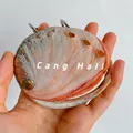 Detailed macro view of natural abalone shell texture with iridescent mother-of-pearl interior - Small Chilean Abalone Shell Notebook / Approx. 6-9cm
