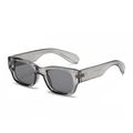 Transparente graue rechteckige Sonnenbrille mit dunklen Gläsern und Goldnieten - Transparent Grauer Rahmen Graue Gläser C4