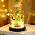 Christmas tree in glass dome with warm LED lights and Happy Christmas sign decoration - Christmas Tree White Pom Poms