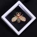 Exquisite gold bee brooch with sparkling rhinestones and a large pearl in a white box - XZ028 Champagne-Bee-Boxed