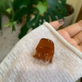 Close-up of amber acetate hair claw clip featuring gold FRANCE Handmade lettering - Mini Size / Brown