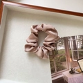 Detail van de champagneroze zijden scrunchie met glanzende textuur en mooie plooien - Klein / Lichtkoffie