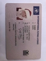 Macro shot of novelty Santa Claus international flying licence with north pole details - Style B/Light Brown
