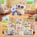 Flocked panda and cat blind box figurines set with 6 regular and 1 hidden styles - -369 Panda Is Also A Cat Box 6 / Full Box Set