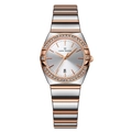 Women's two-tone rose gold and silver quartz watch with diamond bezel and date window - Two-tone Gold Silver Surface