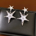 Macro di orecchini a stella in argento con zirconi bianchi su espositore in pelle nera - Argento (Perno in argento)