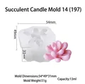 Stampo in silicone succulento 3D per candele con dimensioni e prodotto finito - Candela succulenta 14 (197)