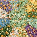 Citrus theme 6x6 inch paper pad for DIY scrapbooking with 12 vintage fruit patterns - 21024a 24 Sheets