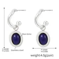 Orecchini in acciaio argento con agata blu ovale e design a gancio moderno - Stile Pietra Blu Argento (F1661MDD241029)