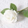 Single white artificial silk rose with green stem on a white knitted fabric background - White (Velvet Version)
