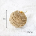 Sparkling gold 10cm Christmas ornament ball with glitter and hanging string for decor - Gold Pine Cone Ball