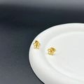 Golden titanium steel flower stud earrings displayed on a white ceramic tray - Gold Hollow Flower Stud (Single)