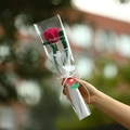 Nahaufnahme von handgefertigtem rosarotem Tulpenstrauß in Geschenkpapier - Rosenrote Tulpe