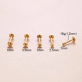 16G gouden roestvrijstalen labret piercingset met vijf bollen van 2 mm tot 4 mm - 2MM Bal / Goud