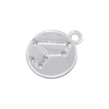 Detail showing a silver Virgo zodiac pendant with copper zircon inlays on white background - Silver Leo