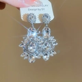 Gedetailleerde weergave van zilveren kwastoorbellen met fonkelende zirkoonkristallen - Zilveren Strass Holle Stijl / Zilver