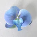 Testa di orchidea blu artificiale con petali sfumati e texture realistica per il fai da te - Pellicola 3D Blu N. 2 (Piccolo)