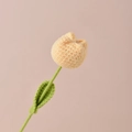 Tulp / Geel