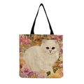 Gatto Persiano Bianco (hm2867)