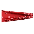 Red paisley print sports headband made of soft fabric for running and fitness training - 5# Red Paisley
