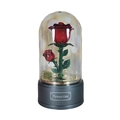 Detailed view of red roses in a glass dome with Flowers Time golden plaque on grey base - Red Rose Flower Clockwork Music Box