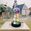 Enchanted purple gold foil rose in glass dome with warm LED lights on black base - Purple (Warm Light)