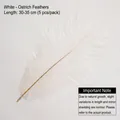 Five pieces of 30-35cm natural white ostrich feathers for DIY floral bouquets - Bright White (30-35cm)