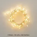 Warm white 3M 100 LED copper wire string light with USB power interface for holiday decor - 3m 100LED USB + Remote / Silver Wire Warm White